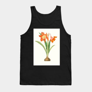 Barbados lily - Hippeastrum puniceum - botanical illustration Tank Top